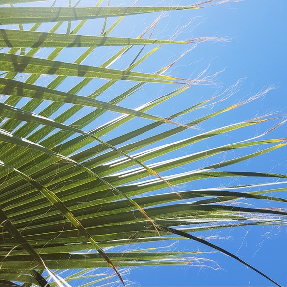 Meet your Posher, Cindy - Picture 5 of 6